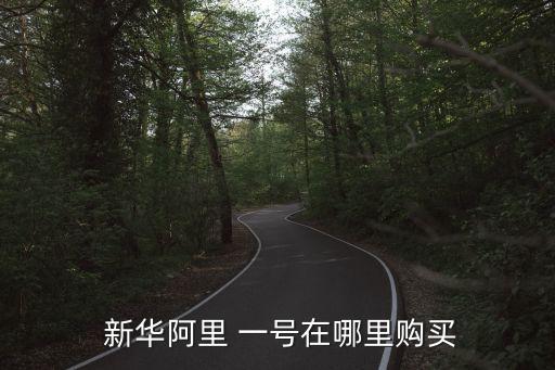  新華阿里 一號在哪里購買