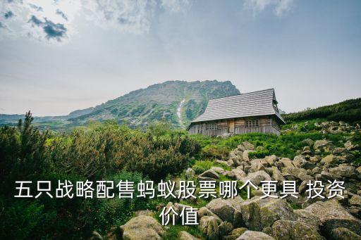 五只戰(zhàn)略配售螞蟻股票哪個更具 投資價值