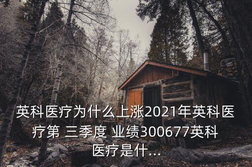 英科醫(yī)療為什么上漲2021年英科醫(yī)療第 三季度 業(yè)績300677英科醫(yī)療是什...