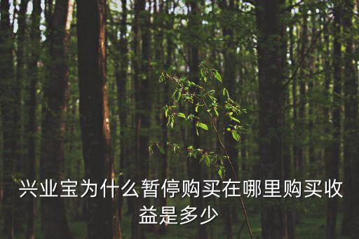  興業(yè)寶為什么暫停購(gòu)買在哪里購(gòu)買收益是多少