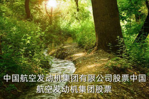 中國航空發(fā)動機(jī)集團(tuán)有限公司股票中國航空發(fā)動機(jī)集團(tuán)股票
