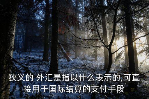 狹義的 外匯是指以什么表示的,可直接用于國際結算的支付手段