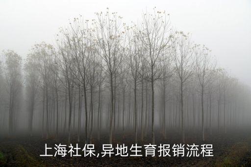  上海社保,異地生育報銷流程