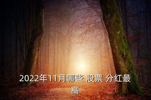 2022年11月哪些 股票 分紅最高