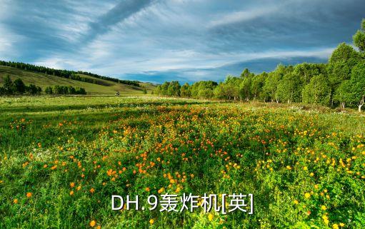 德國dh公司,dh是哪個(gè)公司