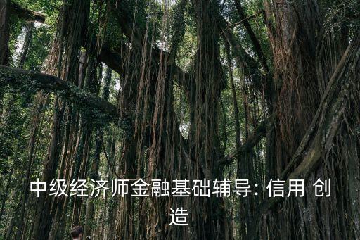 中級經濟師金融基礎輔導: 信用 創(chuàng)造