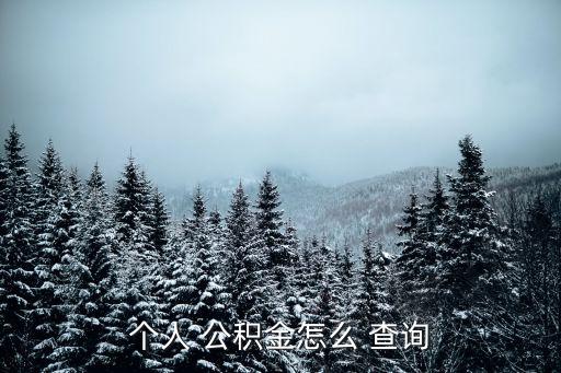 個(gè)人 公積金怎么 查詢(xún)
