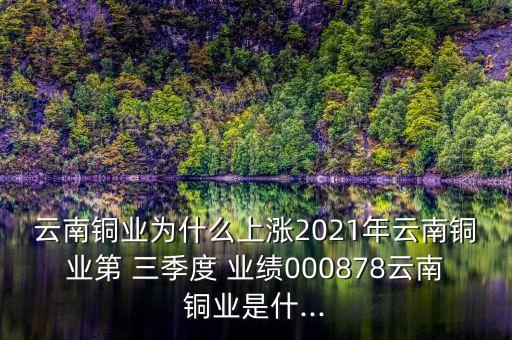 云南銅業(yè)為什么上漲2021年云南銅業(yè)第 三季度 業(yè)績000878云南銅業(yè)是什...