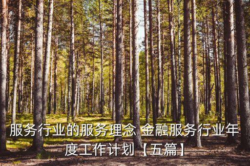 服務行業(yè)的服務理念 金融服務行業(yè)年度工作計劃【五篇】