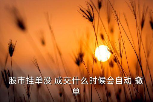 股市掛單沒 成交什么時(shí)候會自動(dòng) 撤單