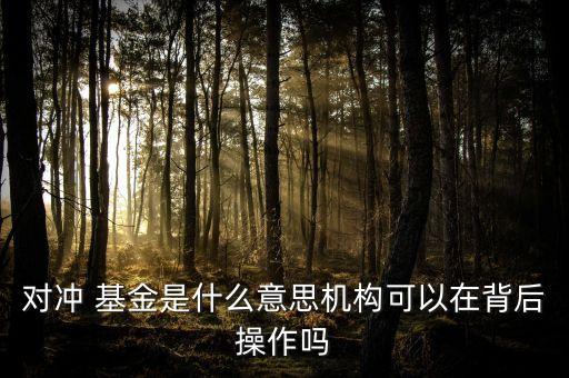 對(duì)沖 基金是什么意思機(jī)構(gòu)可以在背后操作嗎