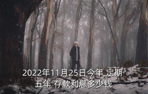 2022年11月25日今年 定期 五年 存款利息多少錢(qián)