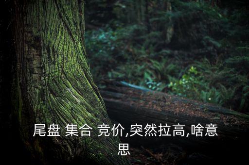 尾盤 集合 競價(jià),突然拉高,啥意思