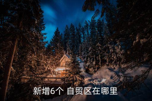 新增6個(gè) 自貿(mào)區(qū)在哪里
