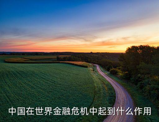 中國在世界金融危機中起到什么作用