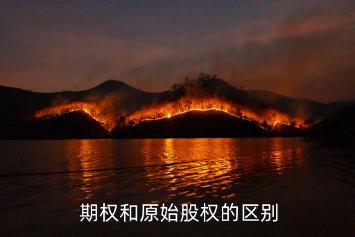 期權是股票上市前價格嗎,股票上市看期權