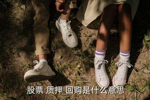  股票 質押 回購是什么意思