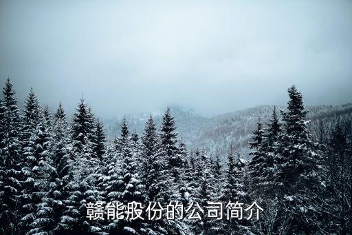 贛能股份的公司簡(jiǎn)介