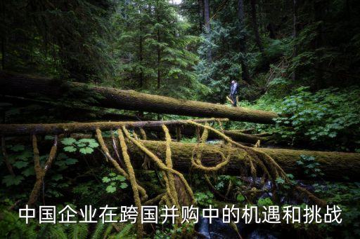 中國企業(yè)在跨國并購中的機(jī)遇和挑戰(zhàn)