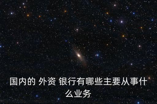 國內的 外資 銀行有哪些主要從事什么業(yè)務