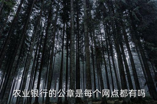  農(nóng)業(yè)銀行的公章是每個(gè)網(wǎng)點(diǎn)都有嗎