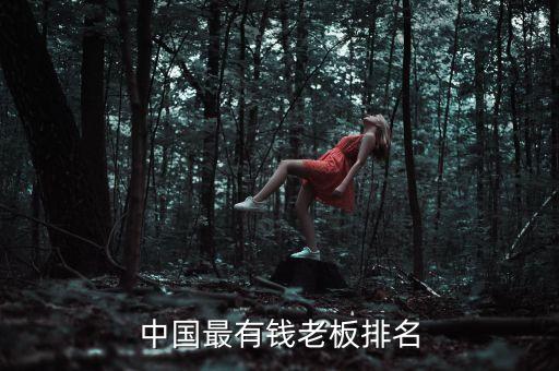 中國(guó)最有錢(qián)老板排名