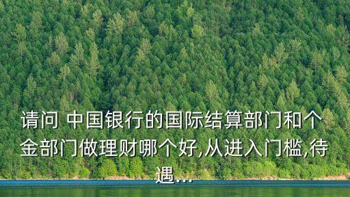 中國銀行個金部