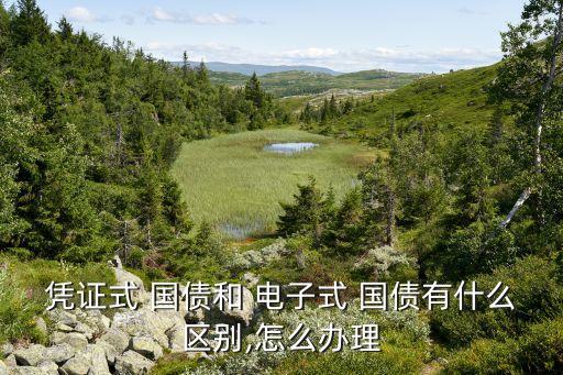 憑證式 國債和 電子式 國債有什么區(qū)別,怎么辦理