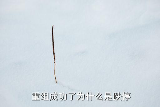  重組成功了為什么是跌停