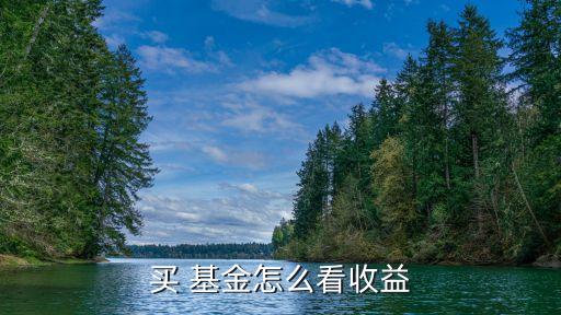 每天開放式基金查詢,開放式基金凈值可以實時查詢嗎
