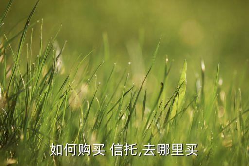 如何購(gòu)買(mǎi) 信托,去哪里買(mǎi)
