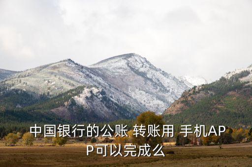  中國銀行的公賬 轉(zhuǎn)賬用 手機(jī)APP可以完成么