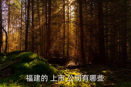 2013上市公司市值排名,央企上市公司市值排名