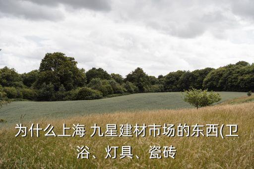 為什么上海 九星建材市場的東西(衛(wèi)浴、燈具、瓷磚