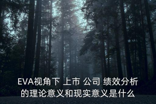 上市公司未來(lái)績(jī)效,中國(guó)未來(lái)前景最好的上市公司