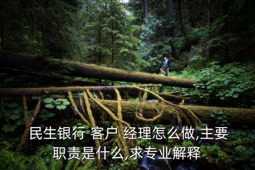  民生銀行 客戶(hù) 經(jīng)理怎么做,主要職責(zé)是什么,求專(zhuān)業(yè)解釋