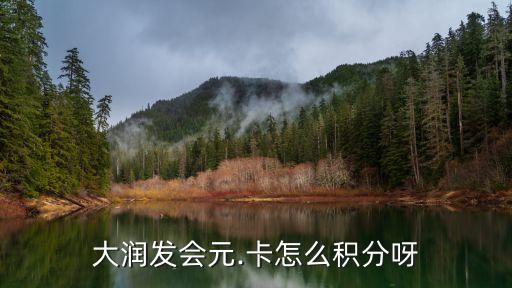 大潤(rùn)發(fā)會(huì)元.卡怎么積分呀