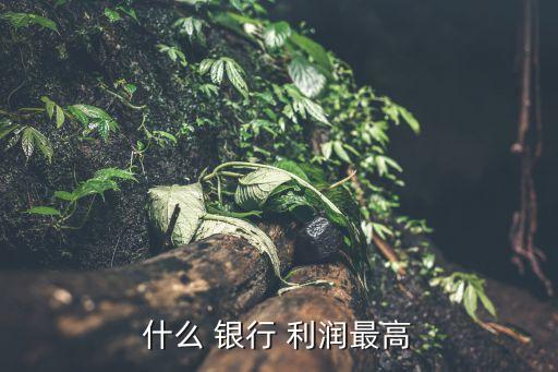 哪個銀行定期存錢的利潤高,存錢20萬哪個銀行利潤比較好