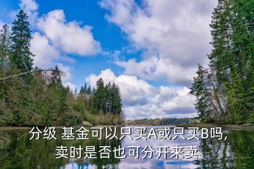  分級 基金可以只買A或只買B嗎,賣時(shí)是否也可分開來賣