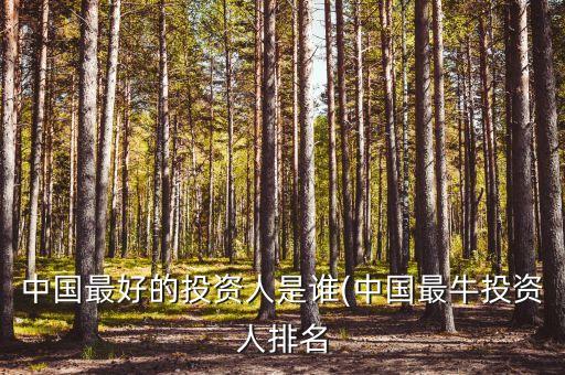 中國(guó)最好的投資人是誰(中國(guó)最牛投資人排名
