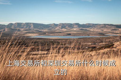  上海交易所和深圳交易所什么時候成立的
