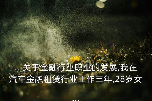 ...關(guān)于金融行業(yè)職業(yè)的發(fā)展,我在汽車(chē)金融租賃行業(yè)工作三年,28歲女...