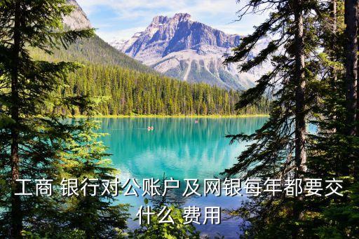 工行手機銀行費用,工行流水手機銀行可以導(dǎo)出嗎