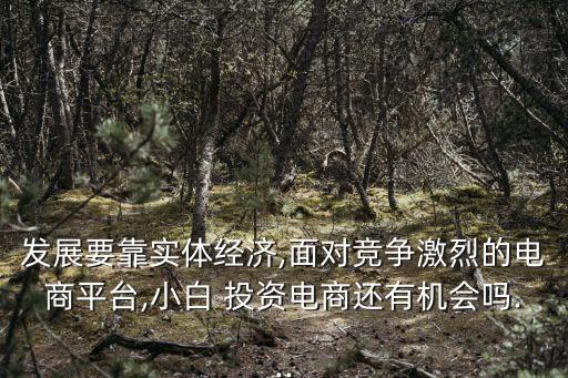 發(fā)展要靠實(shí)體經(jīng)濟(jì),面對(duì)競爭激烈的電商平臺(tái),小白 投資電商還有機(jī)會(huì)嗎...