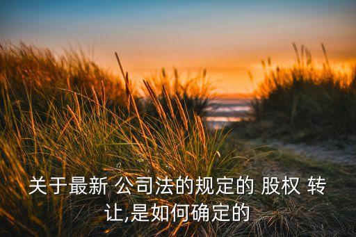 關于最新 公司法的規(guī)定的 股權 轉讓,是如何確定的