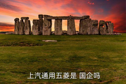  上汽通用五菱是 國(guó)企嗎
