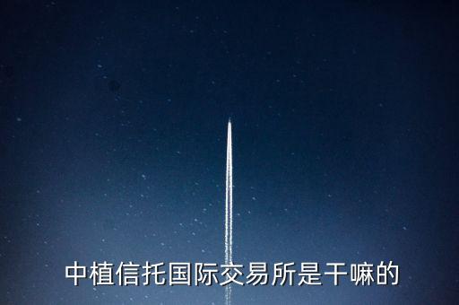 中植集團(tuán)資產(chǎn)多少億