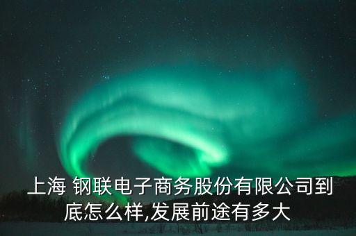  上海 鋼聯電子商務股份有限公司到底怎么樣,發(fā)展前途有多大