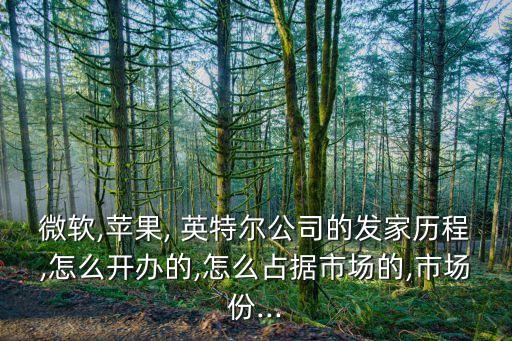 英特爾股票上市,茅臺股票上市時間和發(fā)行價(jià)