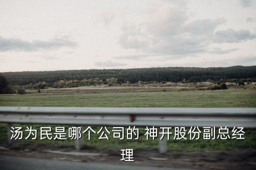 湯為民是哪個(gè)公司的 神開股份副總經(jīng)理